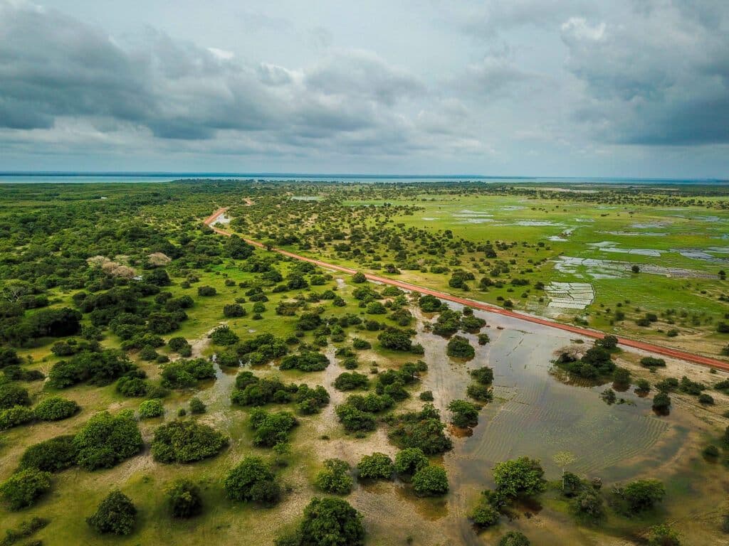 Échappée Casamance — 5 jours