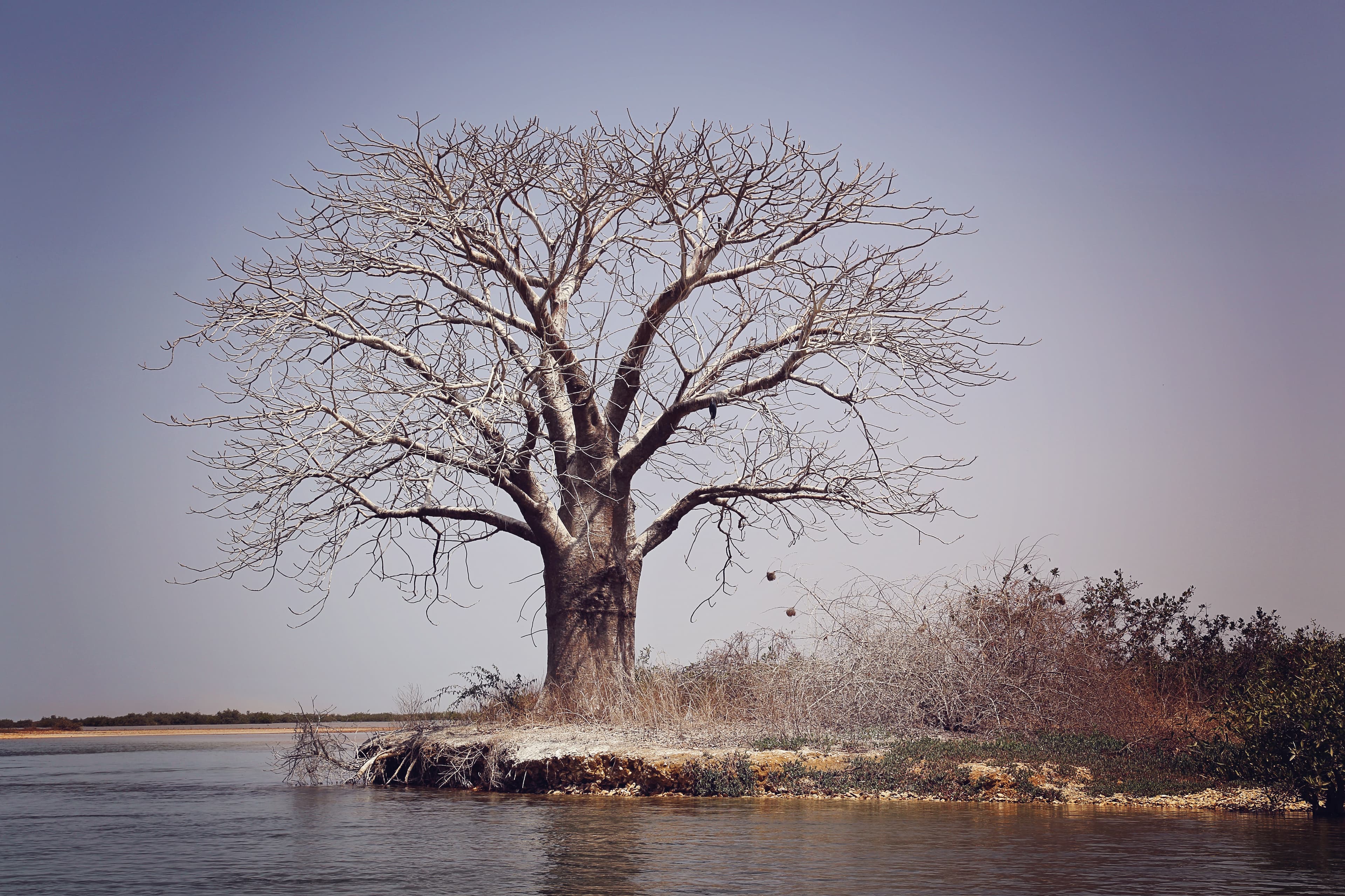 Évasion Sine Saloum