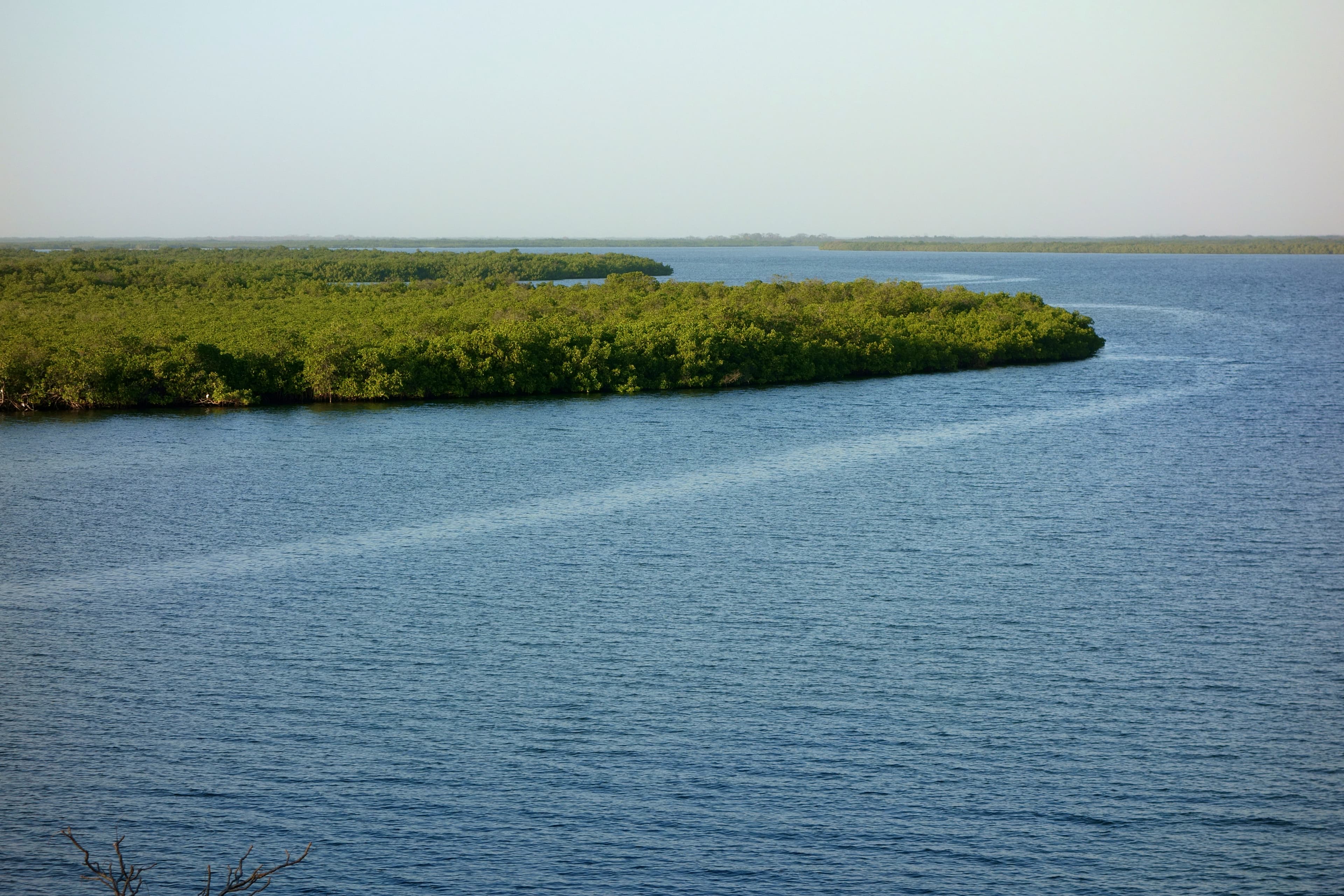 Sine Saloum, Sénégal