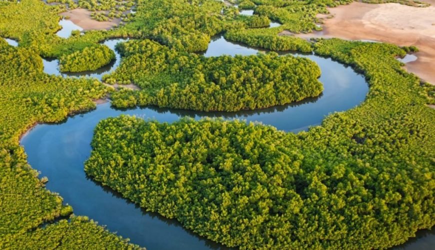 Itinéraires incontournables pour explorer le Sénégal