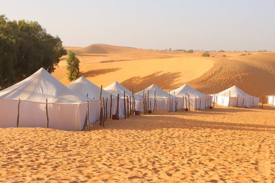 Journée LOMPOUL – Samedi 25 Octobre 2025